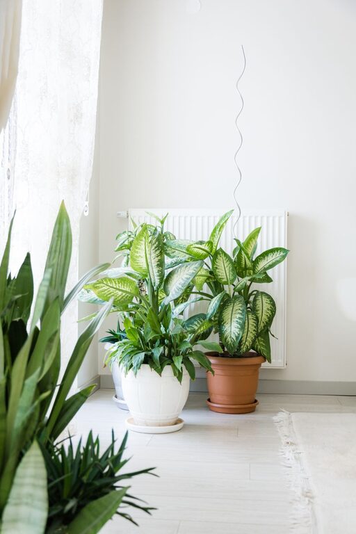 Practical Tips to Improve Indoor Air Quality in Your Home